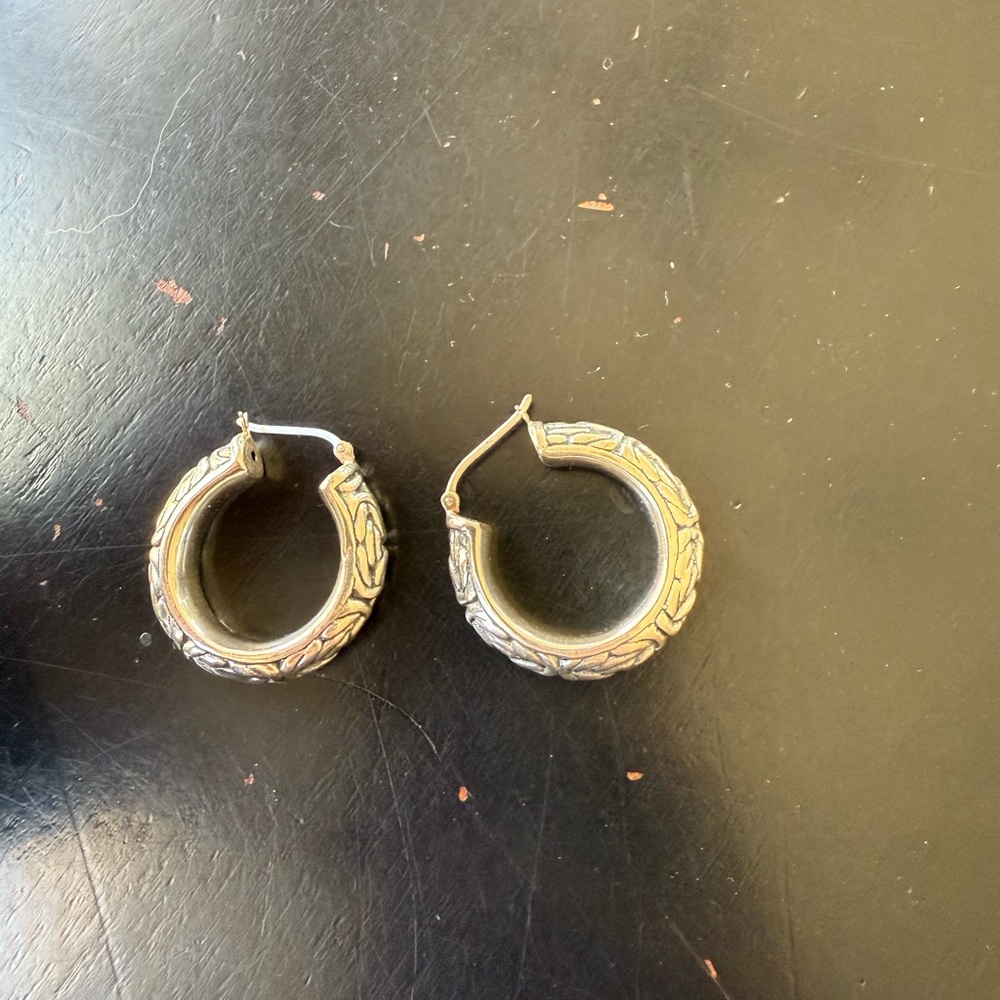 Elegant Silver Hoop Earrings